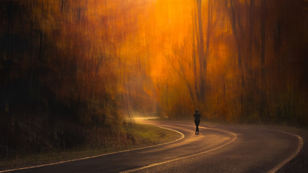 Autumn Road Runner by Haim Rosenfeld — canvas wall art