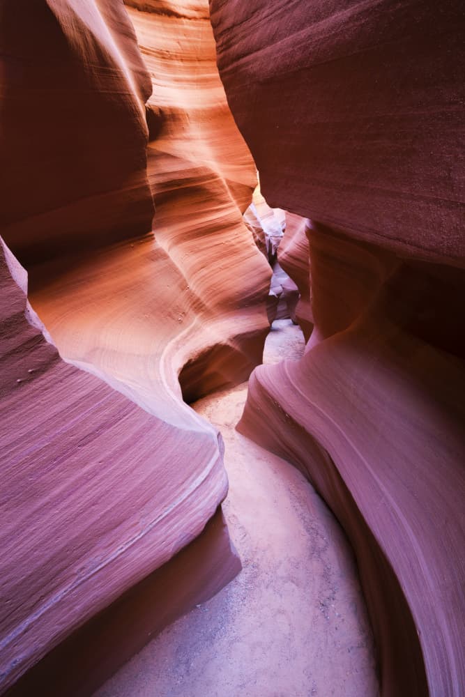 Purple Canyon by Stefan Hefele — canvas wall art