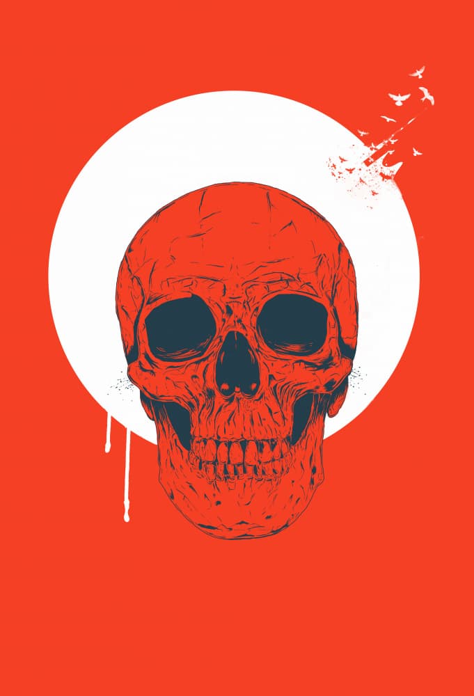 Red Skull Flight by Balazs Solti — canvas wall art