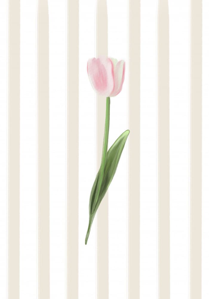 Soft Tulip Stripes by Lisen Vennesland — canvas wall art
