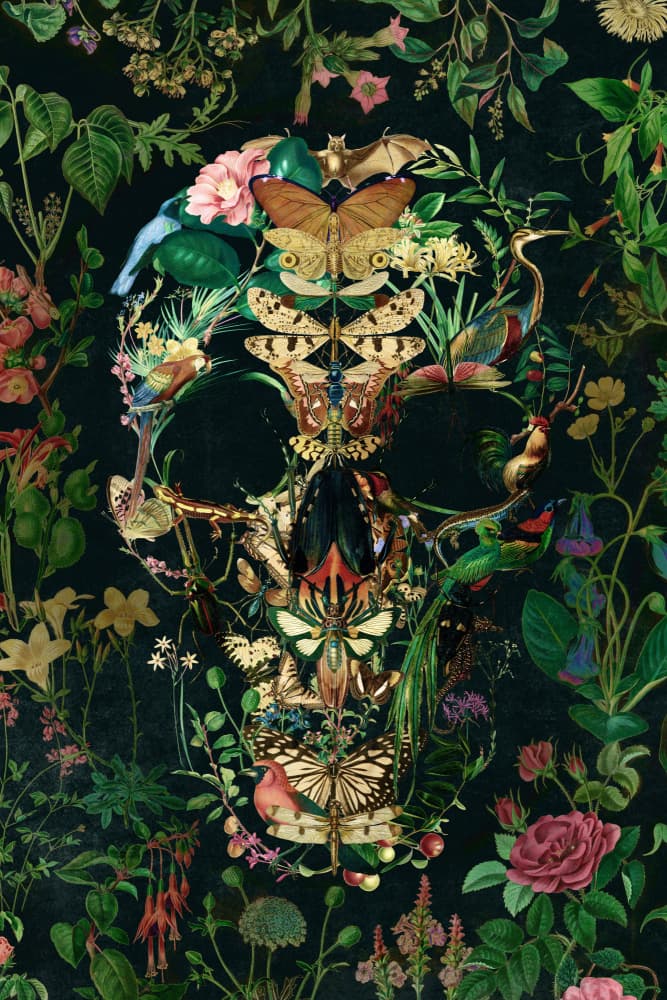 Dark Nature Skull by Ali Gulec — canvas wall art