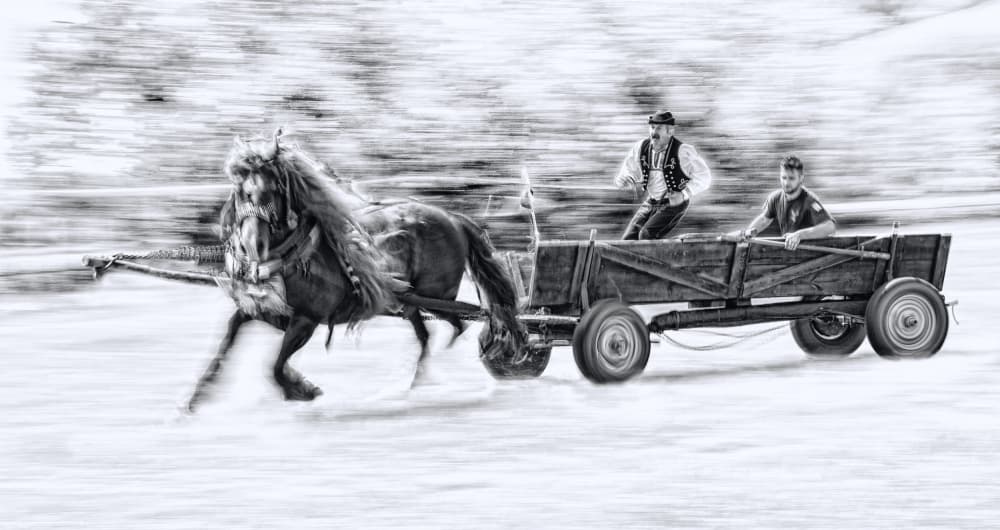 Powerful Horse And Cart by Dusan Ignac — canvas wall art