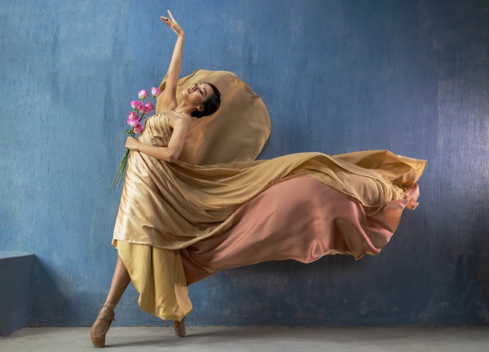 Graceful Gold Dancer by Sally Widjaja — canvas wall art