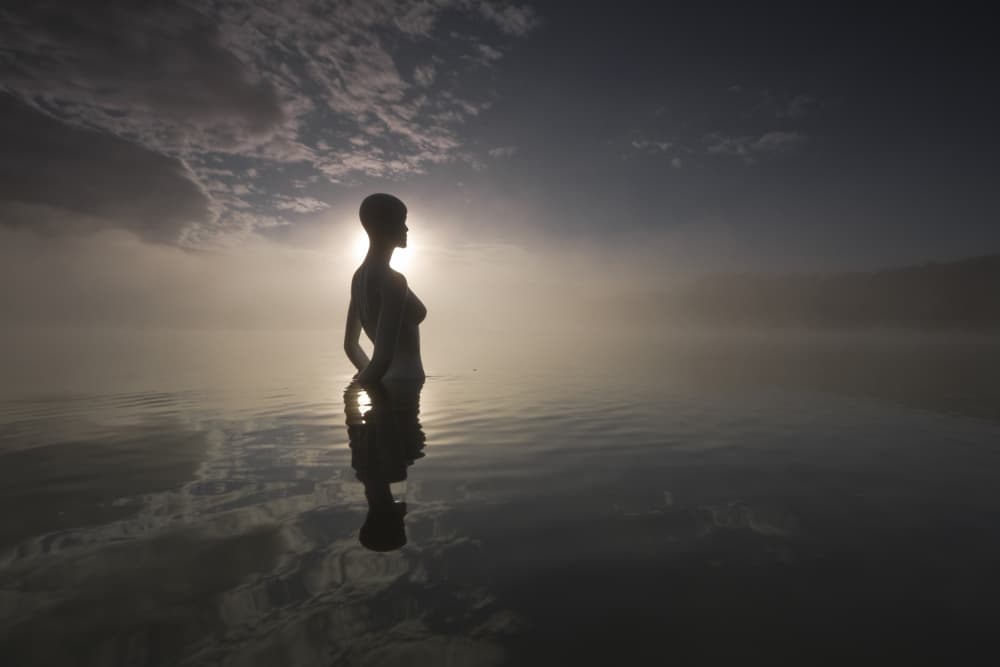 Misty Morning Silhouette by Leszek Paradowski — canvas wall art