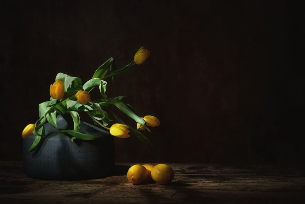 Moody Yellow Tulips Still Life by Saskia Dingemans — canvas wall art