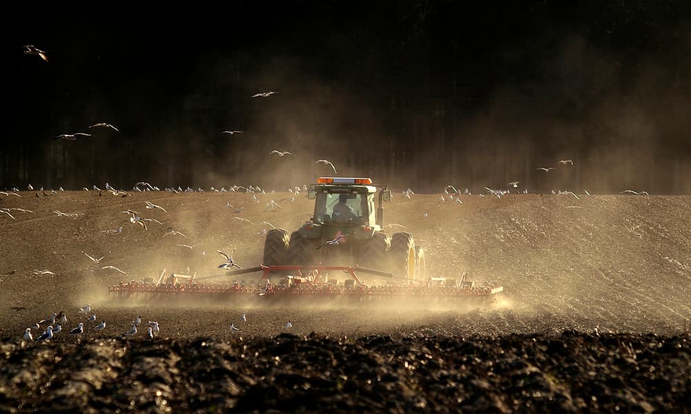 Golden Plowing Field by Allan Wallberg — canvas wall art