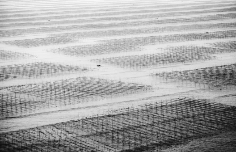 Ocean Farm Patterns by ADIREK M — canvas wall art