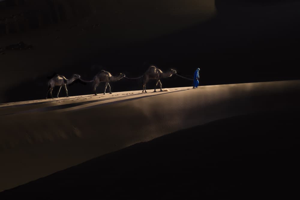 Desert Caravan Journey by Sally Widjaja — canvas wall art