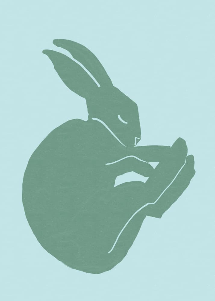 Sleeping Green Rabbit by Sharyn Bursic — canvas wall art