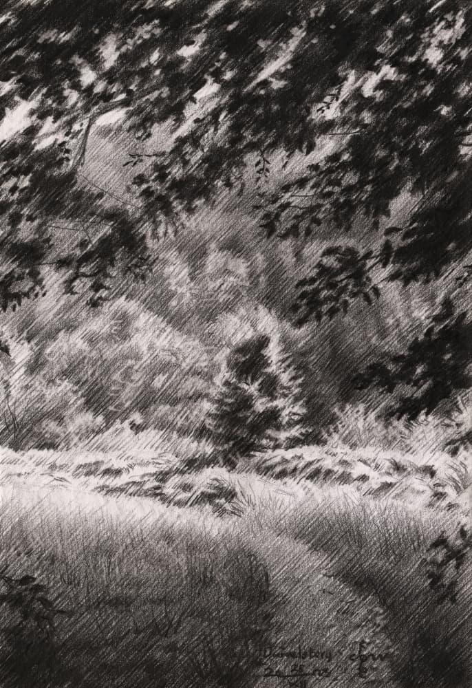 Peaceful Forest Path by Corné Akkers — canvas wall art