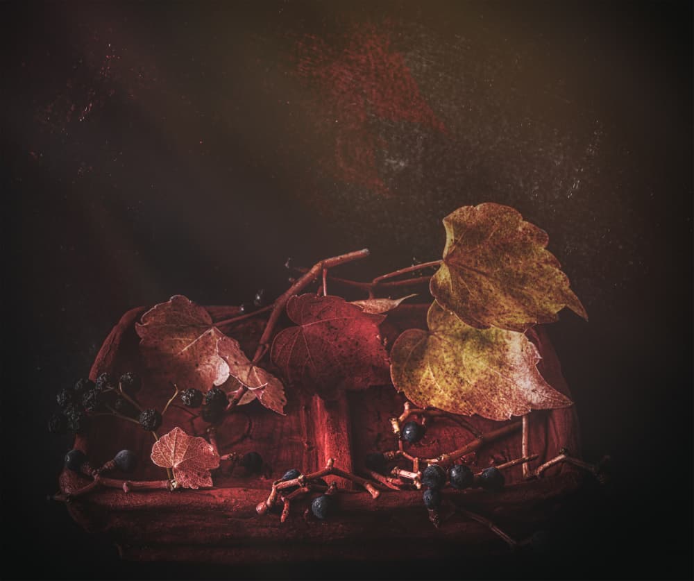 Moody Autumn Leaves by Marie-anne Stas — canvas wall art