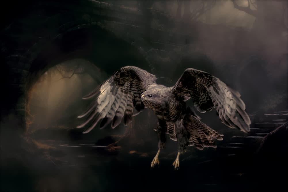 Mysterious Raptor Flight by Gert J ter Horst — canvas wall art