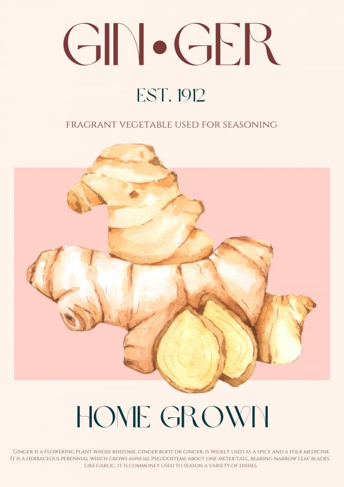 Fresh Ginger Watercolor by Nazma Khokhar — canvas wall art
