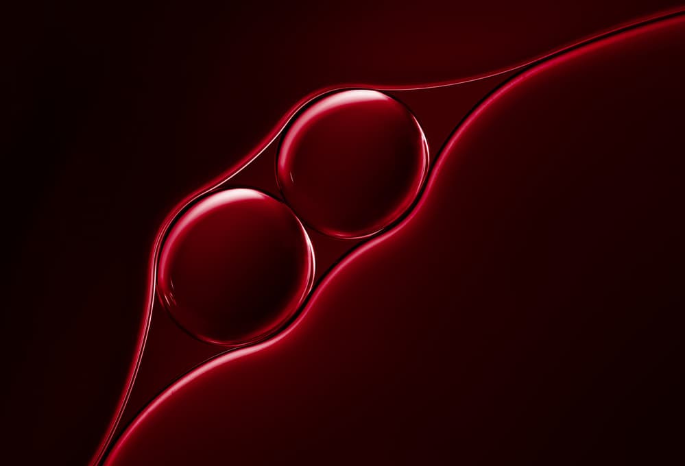 Crimson Liquid Spheres by Jacqueline Hammer — canvas wall art
