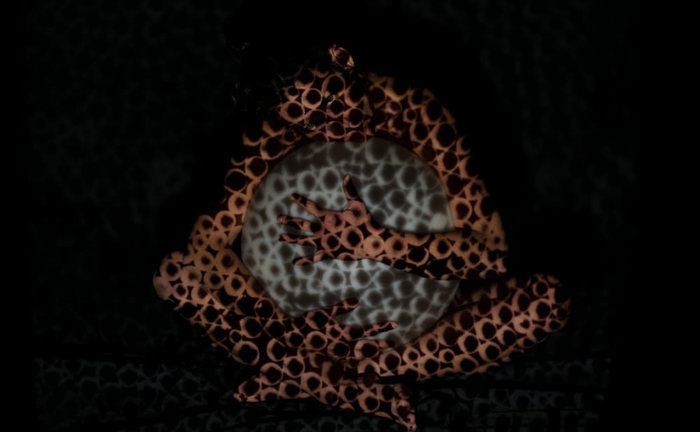 Enigmatic Patterned Figure by Offer Ellbogen — canvas wall art