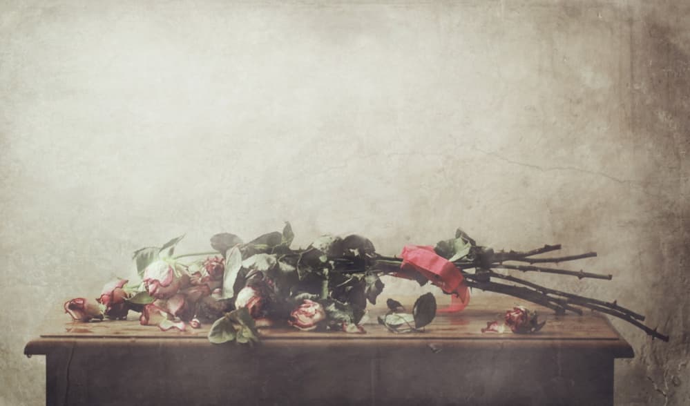 Fading Roses Still Life by Delphine Devos — canvas wall art