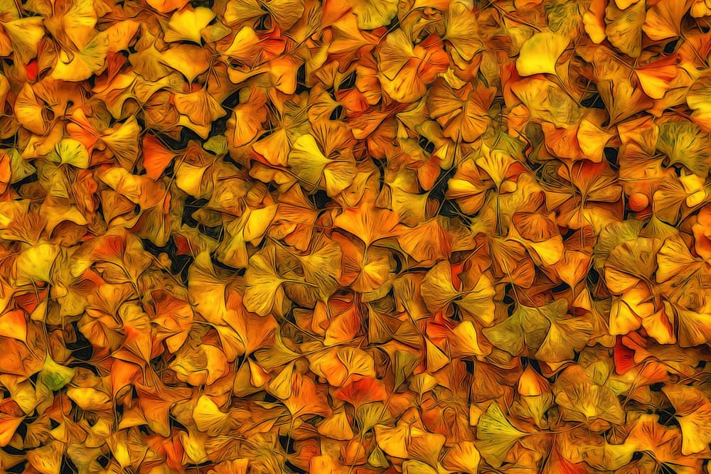 Autumn Impression by Lucie Gagnon — canvas wall art