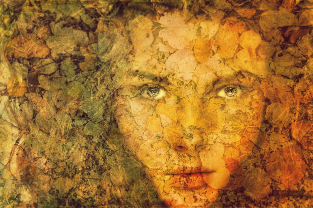 Golden Autumn Portrait by Yasutaka Sameshima — canvas wall art