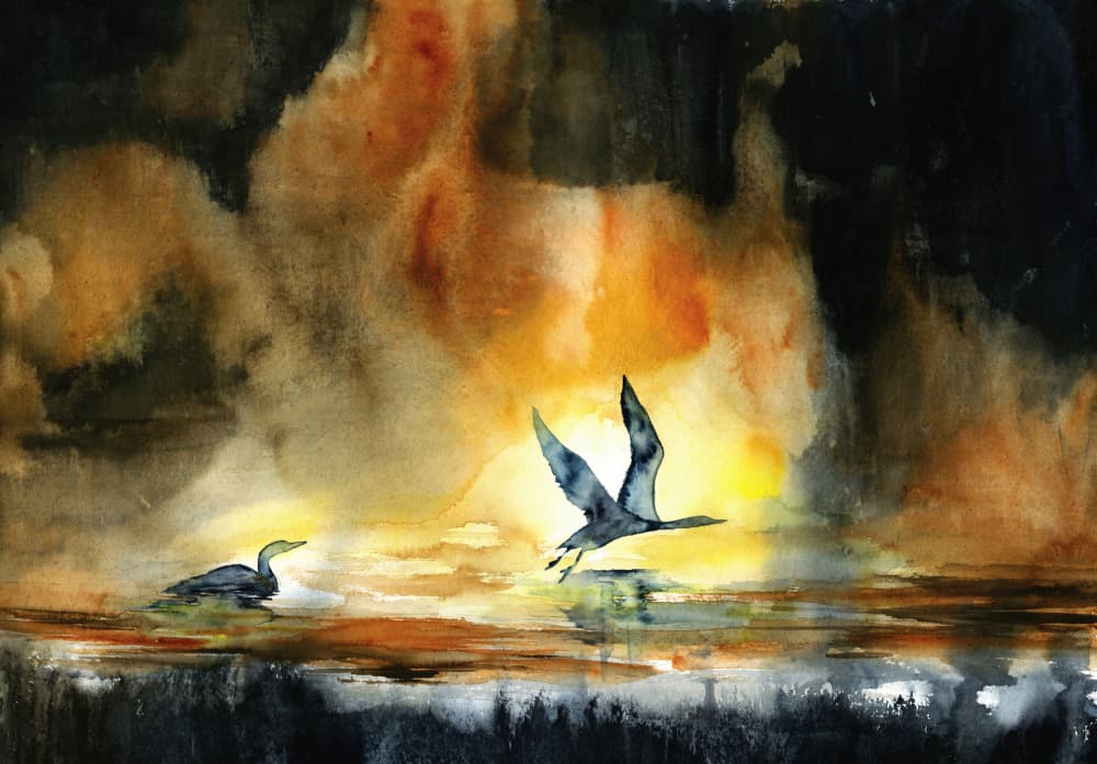 Sunset Water Birds by RodMacIver — canvas wall art