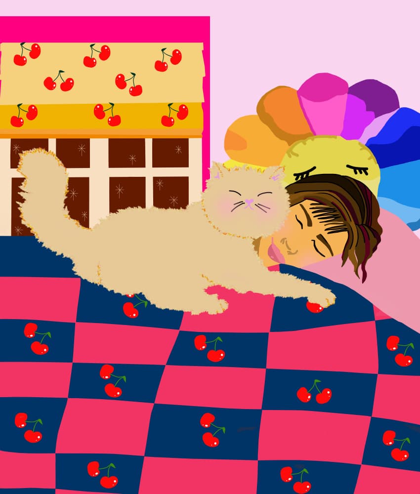 Cozy Cat Nap by Lynnda Rakos — canvas wall art