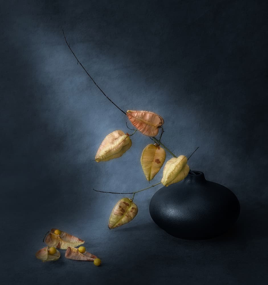 Dark Botanical Stillness by Aidong Ning — canvas wall art