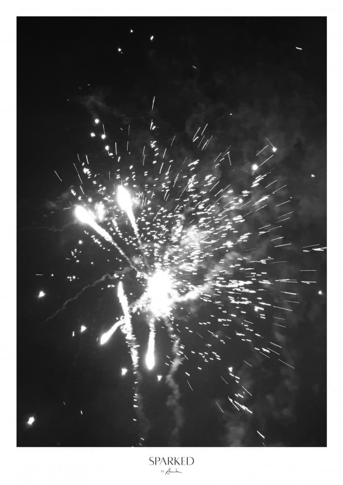 Brilliant Fireworks Burst by Annika John — canvas wall art