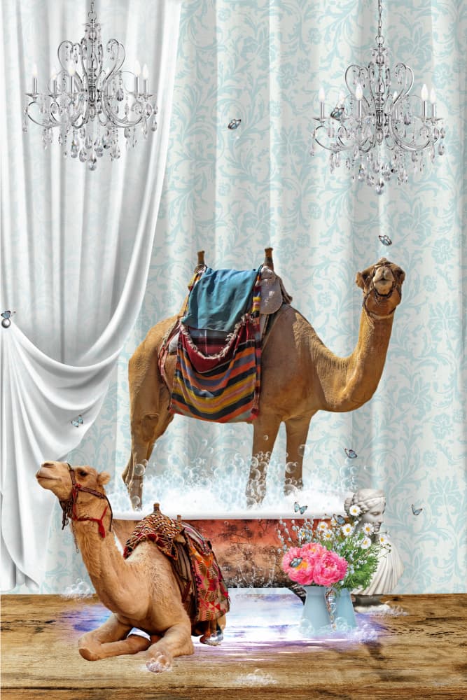 Camels In The Bathtub by Sue Skellern — canvas wall art