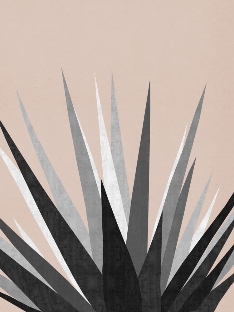 Chic Geometric Agave by Vitor Costa — canvas wall art