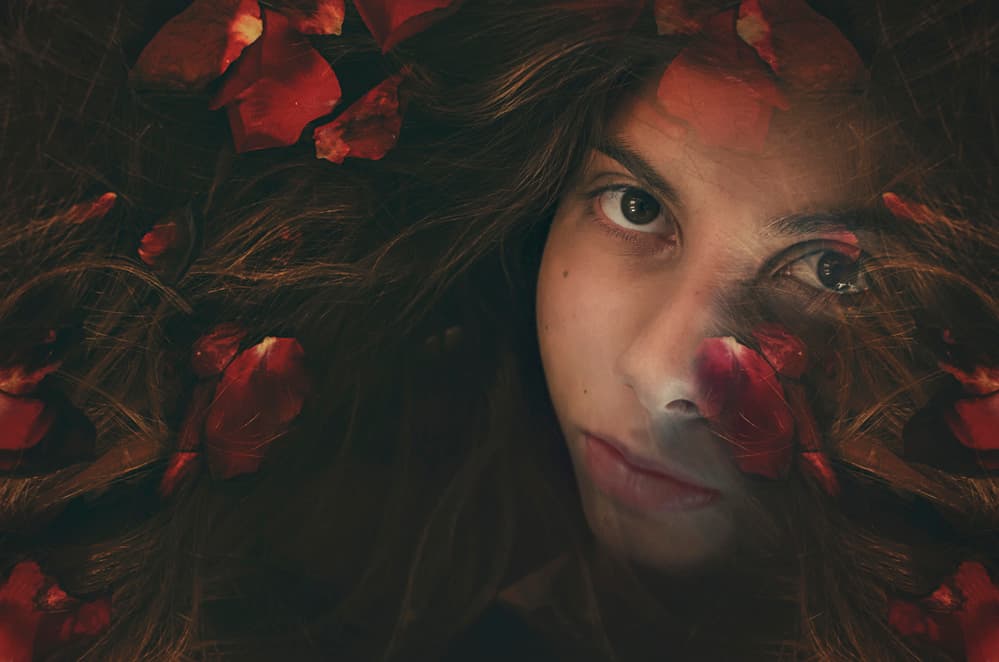 Dreamy Rose Petal Portrait by Desislava Ignatova — canvas wall art