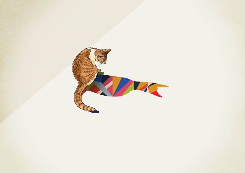 Ginger Cat Geometry by Jason Ratliff — canvas wall art