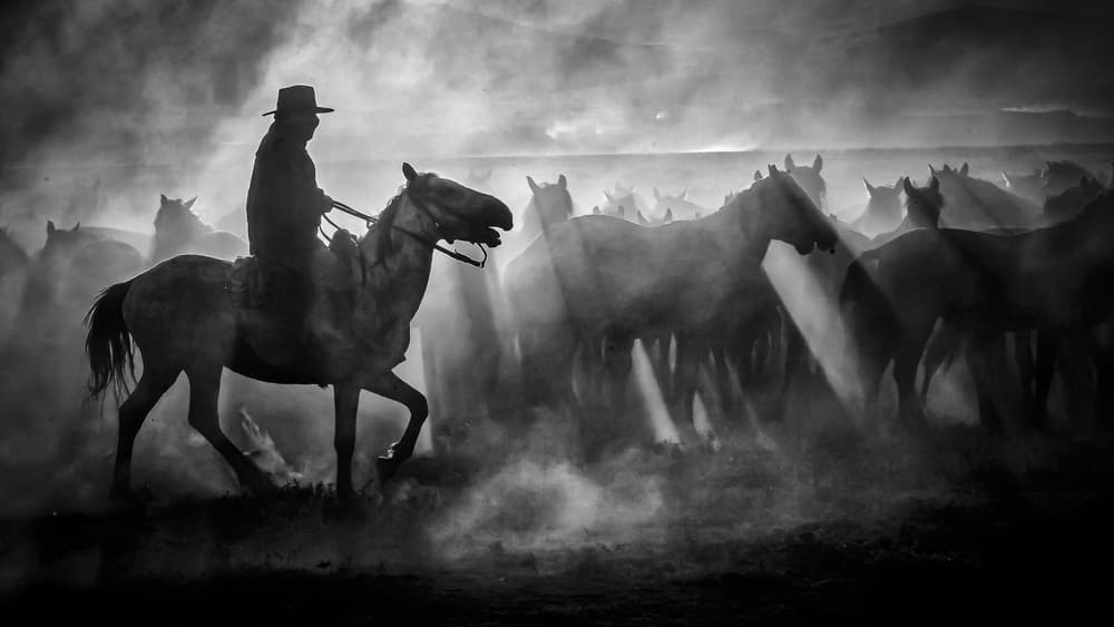 Cowboy and Wild Horses by Zühdü Bilgin — canvas wall art