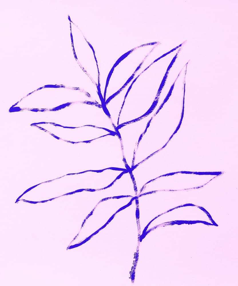 Pink Purple Botanical Drawing by Santhosh ch — canvas wall art