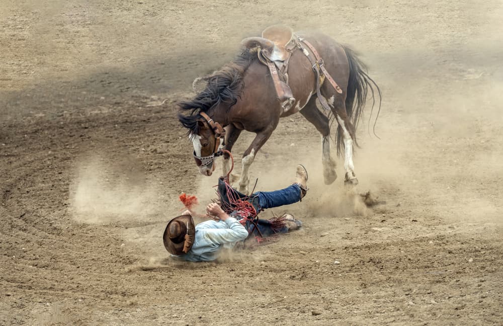 Dynamic Rodeo Fall by Betty Liu — canvas wall art