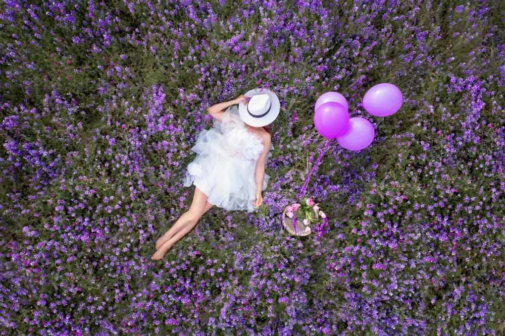 Lavender Field Dreams by Bill Wang — canvas wall art