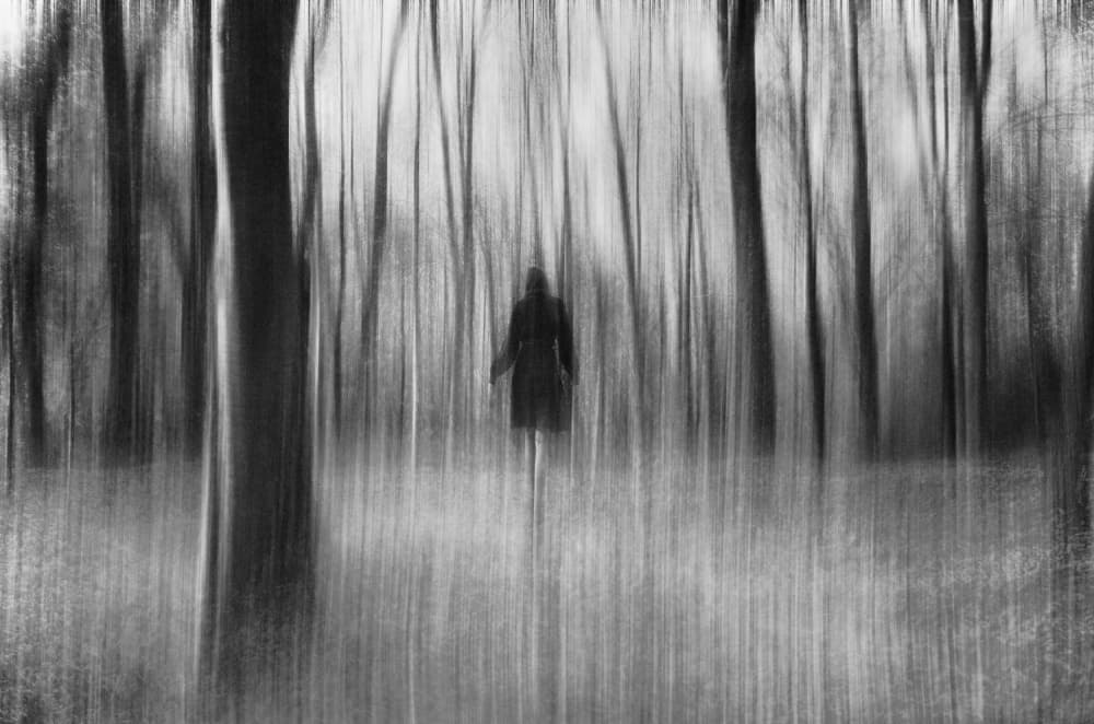Mysterious Forest Walker by Desislava Ignatova — canvas wall art