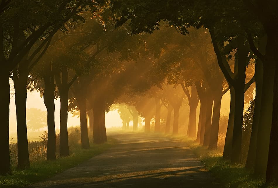 Autumn road... by Krzysztof Browko — canvas wall art