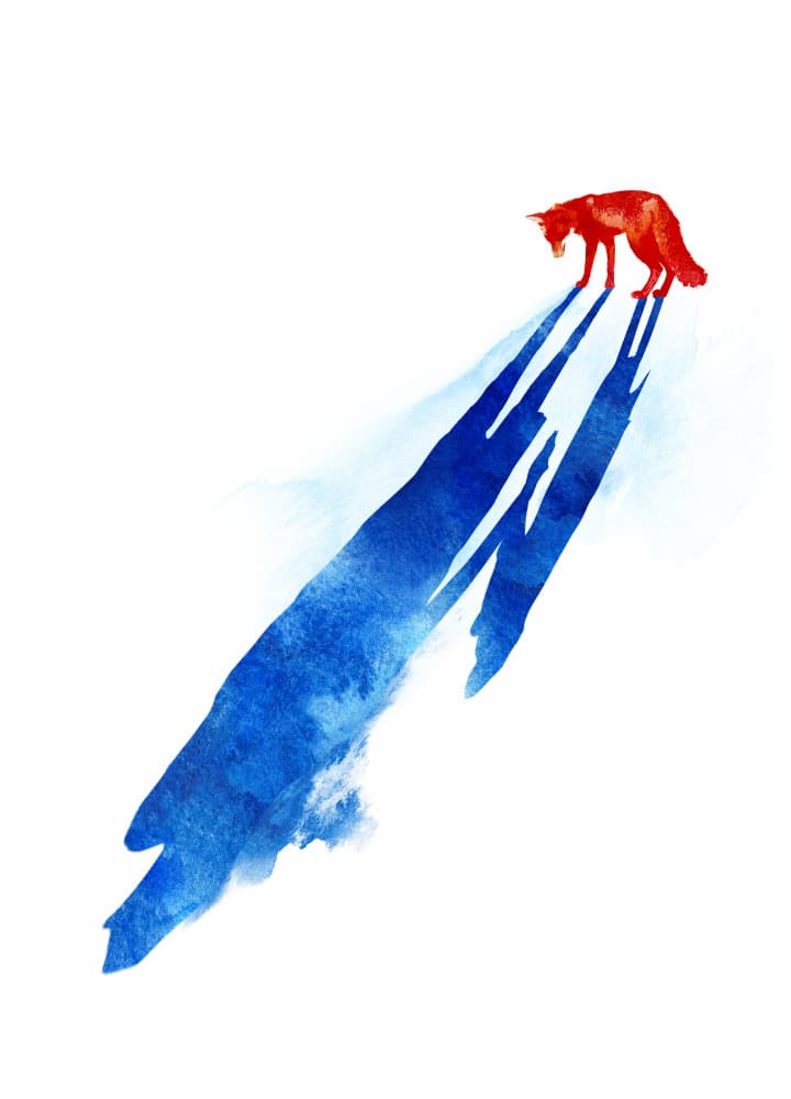 Red Fox Blue Shadow by Robert Farkas — canvas wall art