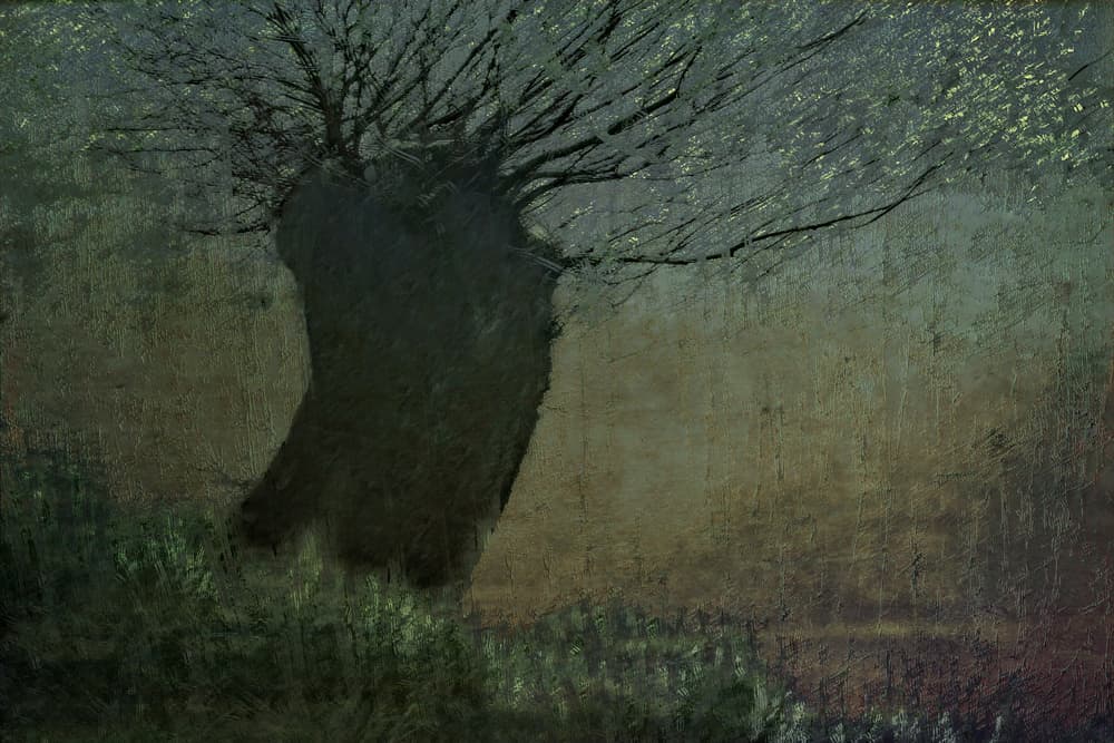 Willow on the waterfront by Nel Talen — canvas wall art