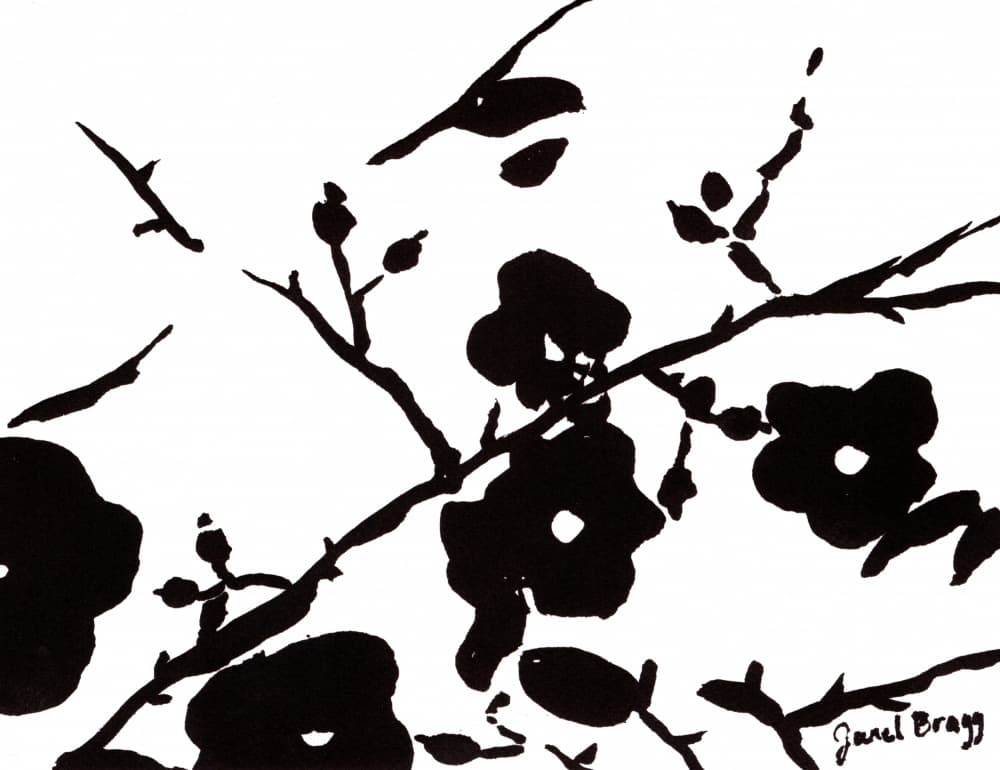 Black Ink Blossoms by Janel Bragg — canvas wall art