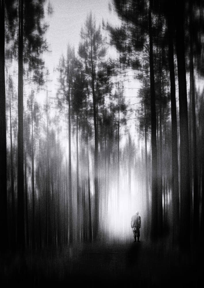 Dark Forest Wanderer by Charlaine Gerber — canvas wall art