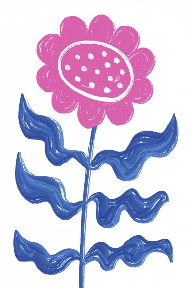 Bold Pink Flower by Martina — canvas wall art