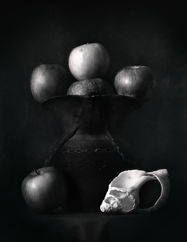 Dark Apples and Skull by Santiago Pascual Buye — canvas wall art