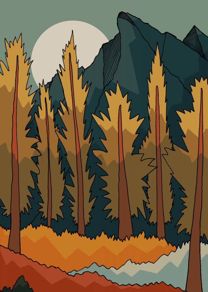 Autumn Forest Moonlight by Stephen Wade — canvas wall art
