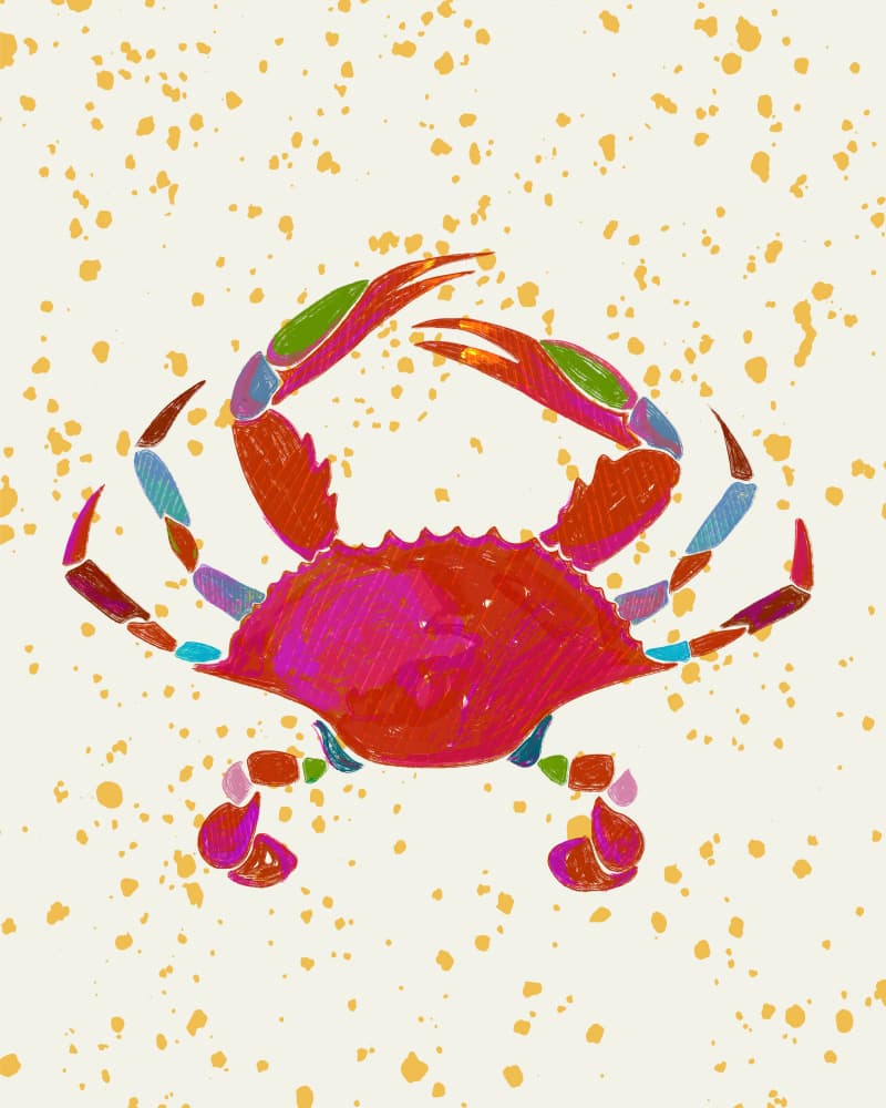 Colorful Splatter Crab by Uma Gokhale — canvas wall art