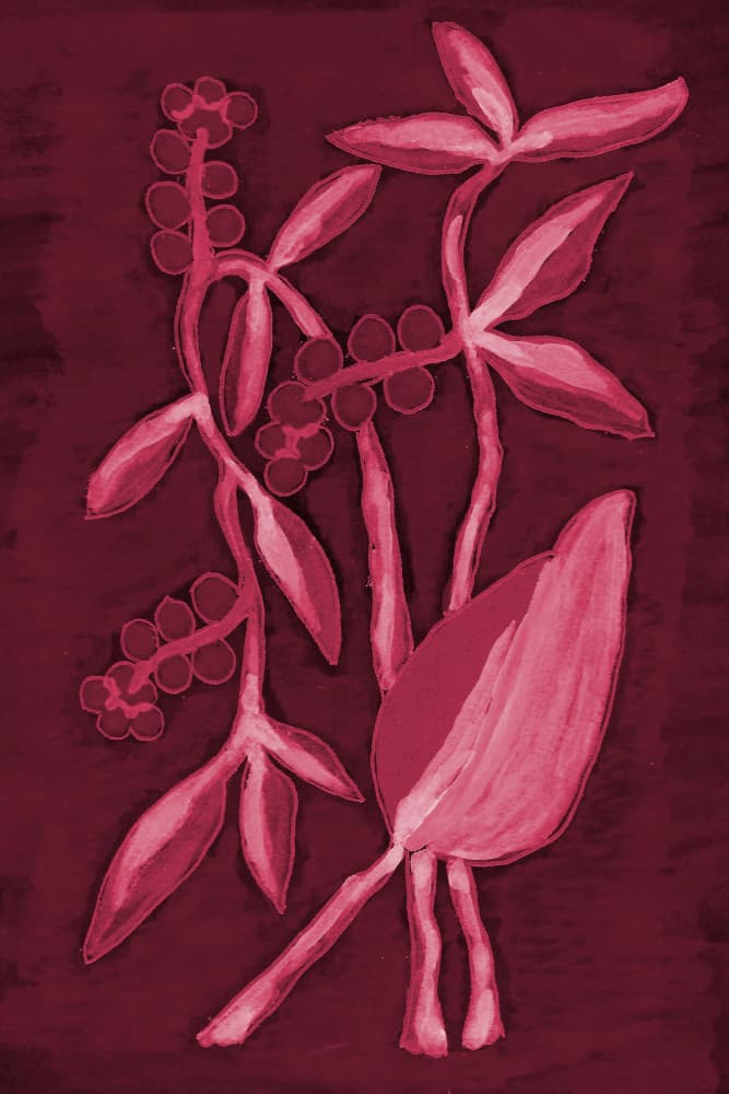 Seed Pod 1 Cherry Red by Lori Ann Folz — canvas wall art
