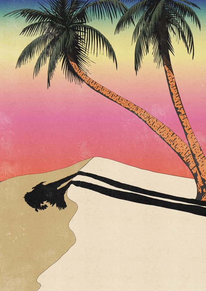 Tropical Sunset Shadows by Nicholas — canvas wall art