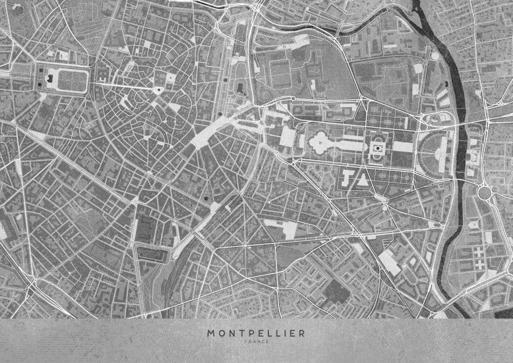 Montpellier City Map by Rosana Laiz Blursbyai — canvas wall art