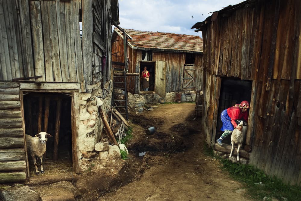 Rural Farm Life by Todor Tanev — canvas wall art