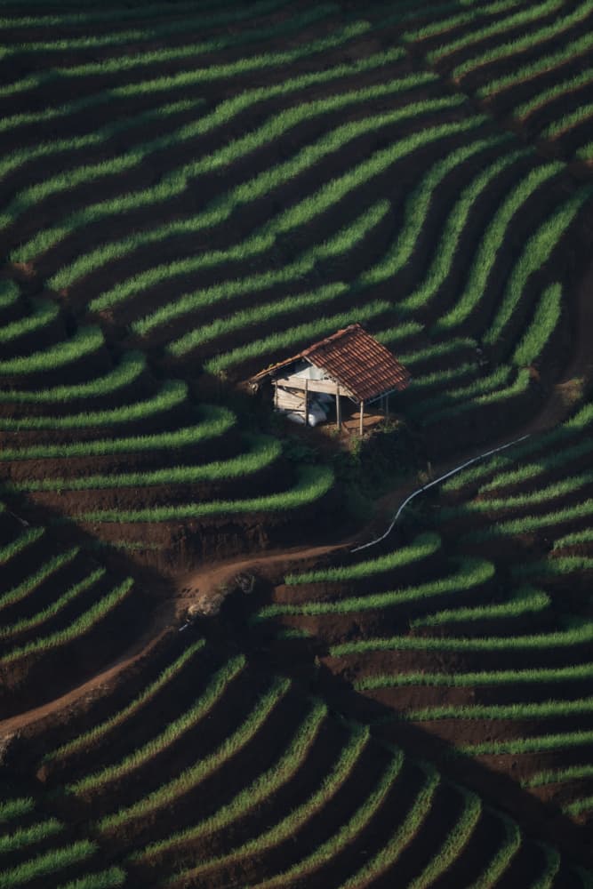 Terraced Fields Hut by Sita Gramich — canvas wall art