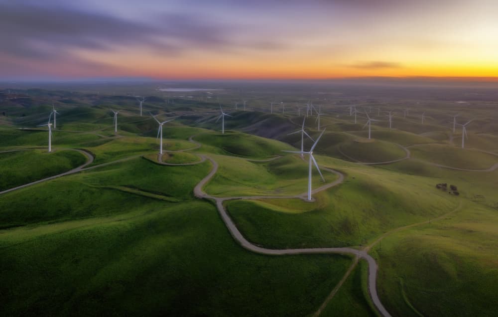 Golden Hour Wind Farm by Jenny Qiu — canvas wall art